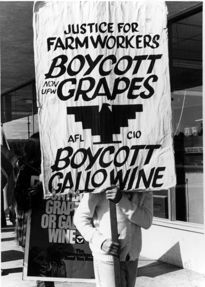 (3703) Gallo Boycott, grocery store pickett (3703) Gallo Boycott, grocery store pickett